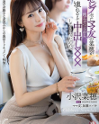 DLDSS-401